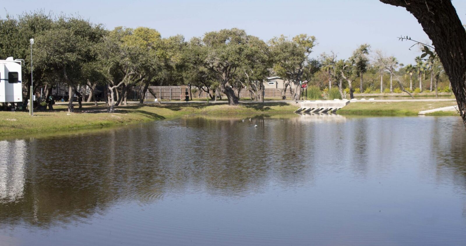 Swimming Pool at Aransas Oaks RV Resort